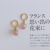 Silver Moto Home s925 Pure Silver Needle Pink Resin Earrings 2021 New Tide Han Temperament Retro Ear Clip Female