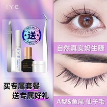 Yu Shuxin Xianzi Eye Eyelash Mix Fish Tail Fairy Hair Type Fake Eyelash Womens Single Cluster Grafting Natural Simulation