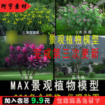 Plants flowers trees garden buildings fine 3D models outdoor landscape park rendering scenes 3dmax material