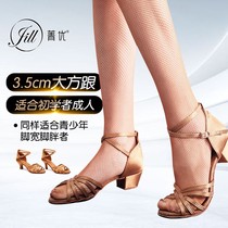 Cyanine Superior Adult Professional Latin Dance Shoes Adult Lady Heel High Heel Five With Shoes Satin Dance Shoes Soft Base Summer