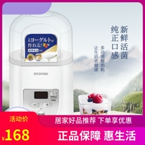 IRIS Alice IYM-012C Yogurt Machine Rice Wine Bean Sprouts Natto Fermented Caspian Kitchen Intelligent Small Use