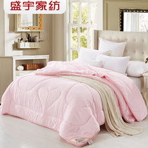 Shengyu Home Textile Thickened Warm Winter Quilt Two-in-One Mother-in-Child Quilt Core Four Seasons Universal Thin Quilt Spring Autumn Winter Double