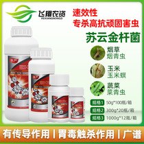 Xiubang Qiuyan January-free Bacillus thuringiensis earthworm rapeseed larvae diamondback moth hanging worm insecticide