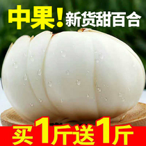 Gansu Lanzhou Lily dig fresh 100 500g pure edible raw t sweet white specialty