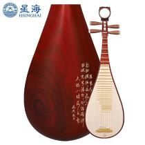 Beijing Xinghai pipa musical instrument 8972QZ pretty indisputable spring mahogany adult beginner grade test practice rosewood pipa
