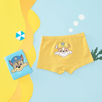 Barabara boys underwear 2 strips of 2021 autumn and winter new childrens children shorts 206321170103