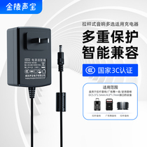 Pull rod type audio charger universal dc9v1 5a charging cable dc12v2a power adapter mobile outdoor square dance flying speaker dc15v2a volt power cord 13 5