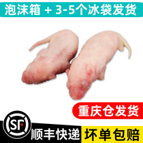 Frozen Milk Rat Small White Rat Climbing Spotting Snake Feed Frozen Red Leather Pink Peel Feeding Dragon Fish Turtle Kitty Snacks Taurine