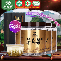 Maoyan Berry Maoyan Berries Tea Zhangjiajie Berry Tea Special Produce Tender Leaf Bud Spike Throat Tea Growing Tea 52g * 4 Cans