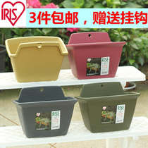 Alice resin flowerpot balcony hanging pot RISE wall-mounted flowerpot 250 type-350 type send adhesive hook