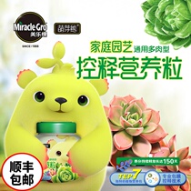 Melotek sprout bear co-branded multi-meat granular fertilizer meat fertilizer household plant slow-release fertilizer nitrogen phosphorus and potassium compound fertilizer