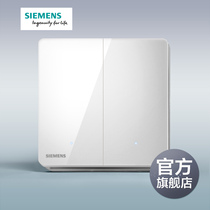 Siemens switch socket panel Ruizhi titanium silver frame two-open single control with LED switch official flagship store