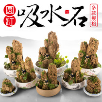 Sheung Shui stone absorbent stone rockery bonsai ornaments accessories small stone micro landscape hydroponic potted ornaments gardening