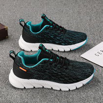 2022 new spring mens shoes fish scale flying textured surface shoes light soft-bottom teenagers running sports wave shoe boomer shoes
