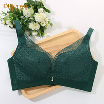 Dai Song Hua No Steel Ring Bra Sexy Lace Anti-Drooping Small Breasts Poly Underwear Women Adjusted Bra Bra Bra