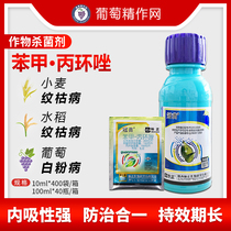 Canopy Phenoether Chia Cyclozolomide Cyclozolomide Rice Wheat Grain Blight Powdery Mildew Rust Pesticide Fungicide B