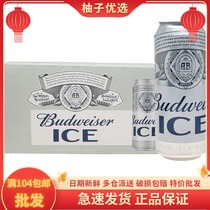 Budweiice Beer 500ml * 18 cans of whole box clear and mellow positive taste Classic Yellow Beer 2 boxes up and down