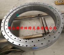 Continental new inner gear slewing bearing support turntable bearing large QN800 25QN900 25QN1000 25