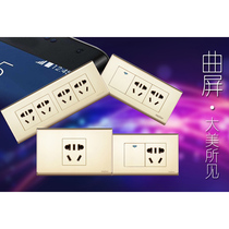 Danlong switch socket 118 type socket switch One socket switch brushed panel gentleman champagne color