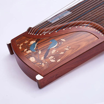  Youyun Guzheng U701B Bird Deng Gaozhi color shell inlaid craft professional performance Yangzhou solid wood guzheng