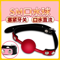 sm sex products collars sex fun bed tuning tools mouth ball alternative small whip room fun passion toys