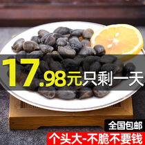 Yellow mud snail instant drunk mud snail big sand-free canned fresh pickled salted mud snail Ningbo Zhoushan seafood aquatic products