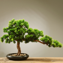 New Chinese simulation bonsai welcome pine green plant living room hotel home porch sample board soft decoration ornaments