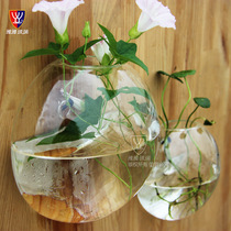 Hydroponic succulent plant glassware can be wall hung glass vase creative three-dimensional glass multi-functional fish tank wall hanging