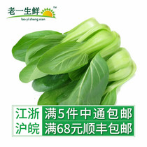 (Old one fresh) fresh vegetables fresh green vegetables small green vegetables Big King vegetables 500g