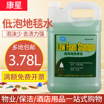 Constelle Low Bubble Carpet Shampoo Detergent Wash Carpet Water Sofa Cloth Art Defilers Decontamination Hotel Guesthouse Exclusive
