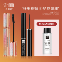 Color Nana starry sky mascara female waterproof long curl natural long lasting without smudging without taking off makeup Official flagship store