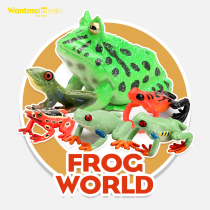 Wantmoin Playing Mold Frog Model Toad Frog Tree Frog Toad Bullfrog Toy Animal Model Pendulum