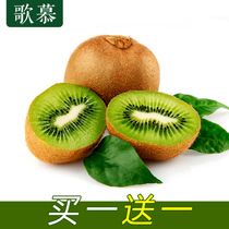 Singu Chile imported Kiwi fruit green heart Kiwi fresh big fruit sweet and sour fruit wholesale