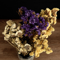 Forget-me-not natural dried flowers pastoral natural home furnishings art dry flowers and grass shooting props forever flowers