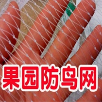  Anti-bird net Orchard free mail nylon net Grape net Cherry net Rice fish pond protective net Skynet balcony protective net