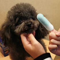 Kitty tooth cleaning teeth disposable convenient sanitary Korean cat dog cleaning teeth pet to calculus except for mouth and odour fingertips