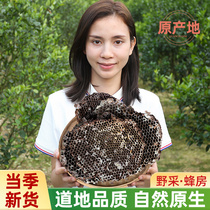 Natural dew beehives room Horse honeycomb Nest Boiling Water Shop 500g