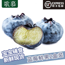(Second half price) Fresh imported spot blueberry fresh fruit Peruvian blueberry fresh fruit Shunfeng