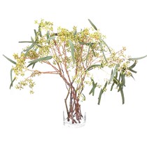 Qingxian broadleaf eucalyptus leaf eucalyptus leaves high-grade flowers family flower arrangement with grass flower arrangement