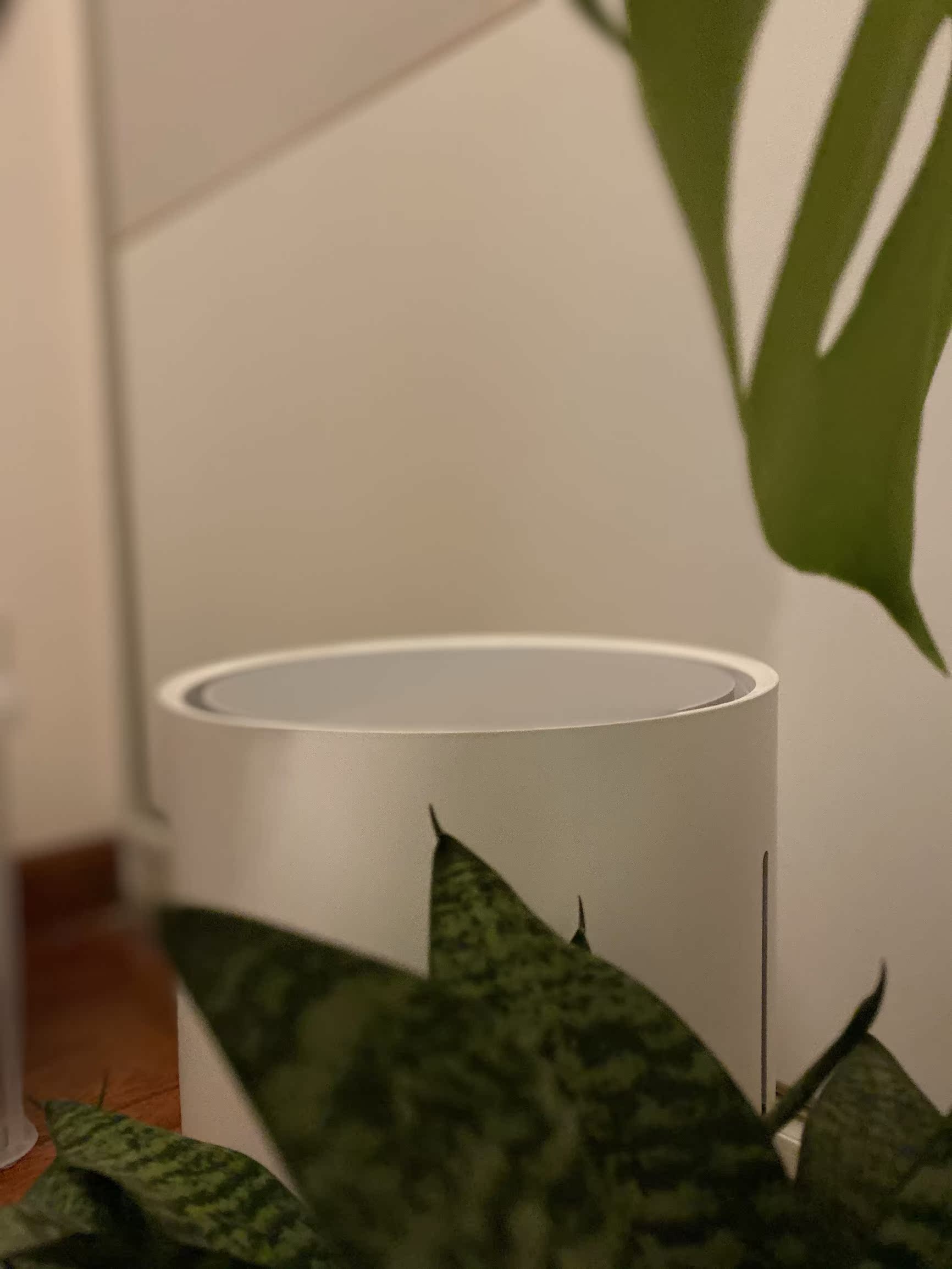智米加湿器口碑怎样？探讨曝光性价比高吗？