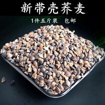 Buckwheat shelled buckwheat tiger skin peony whirlwind parrot bird food Pigeon hamster natural grain bird food 5 kg