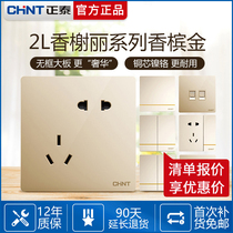 CHINT 86 type 2L wall-mounted concealed switch socket porous large panel borderless Champagne gold household 16a five holes