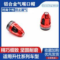 Shrig 310R V X T modified tire valve mouth decoration cover ghost ZT250S car tire core cover dust protection