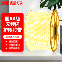 led light with household thread lamp living room ceiling decoration non-strobe color super bright soft light strip waterproof neon