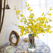 Dancing orchid flowers family yellow Jiangsu Zhejiang and Shanghai flower arrangement high-end wedding wedding flower home decoration flower