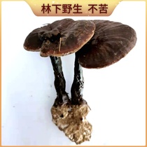 Wild Black Lingzhi 500g Guizhou Lin Lower original ecological imitation wild cultivation of Lingzhi Dry goods a catty