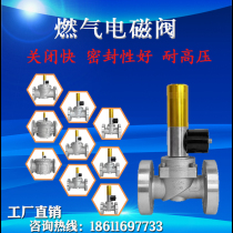 Industrial and commercial combustible gas emergency cut-off valve flange linkage industrial alarm often open explosion protection 24V