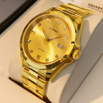 Watch Mens Brand Automatic Mechanical Watch Mens Real Diamond 18K Gold Mens Watch Waterproof Luminous Trend Ten Trends