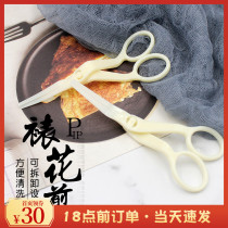 Framed flower-framed flower tohan style rose-cut-framed flower nail cream flower transfer tool turned sugar flower to cut flower holder