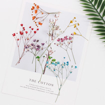 Starry dried flower embossed specimen teaching DIY EPOXY mobile phone shell aromatherapy candle bookmark photo frame flower painting 8